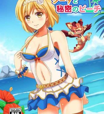 djeeta to himitsu no beach cover