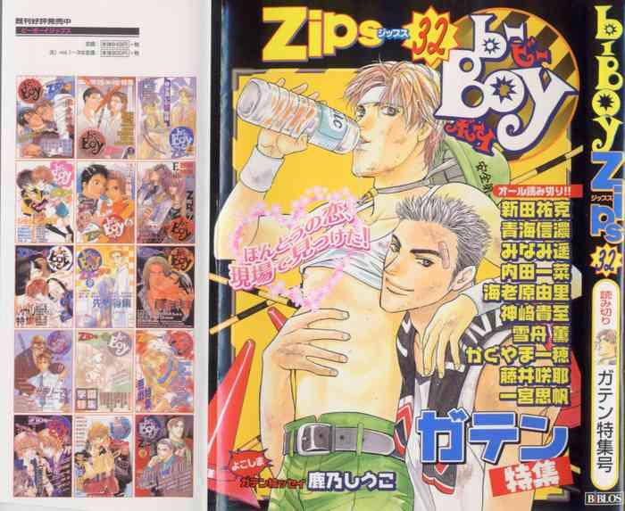 b boy zips 32 cover