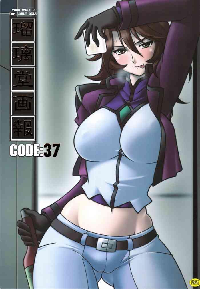 ruridou gahou code 37 cover