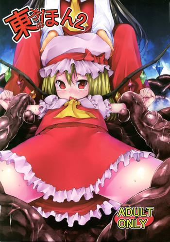 touhou no hon 2 cover