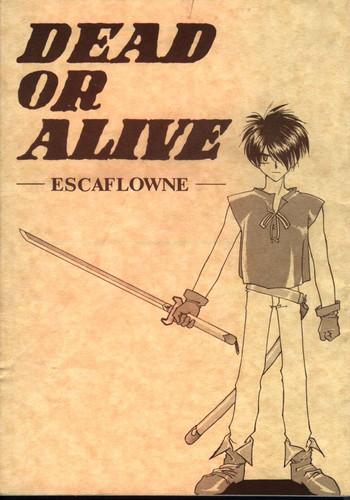 dead or alive cover