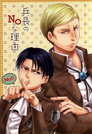 heichou no no na riyuu cover