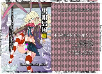 danshou shimakaze cover